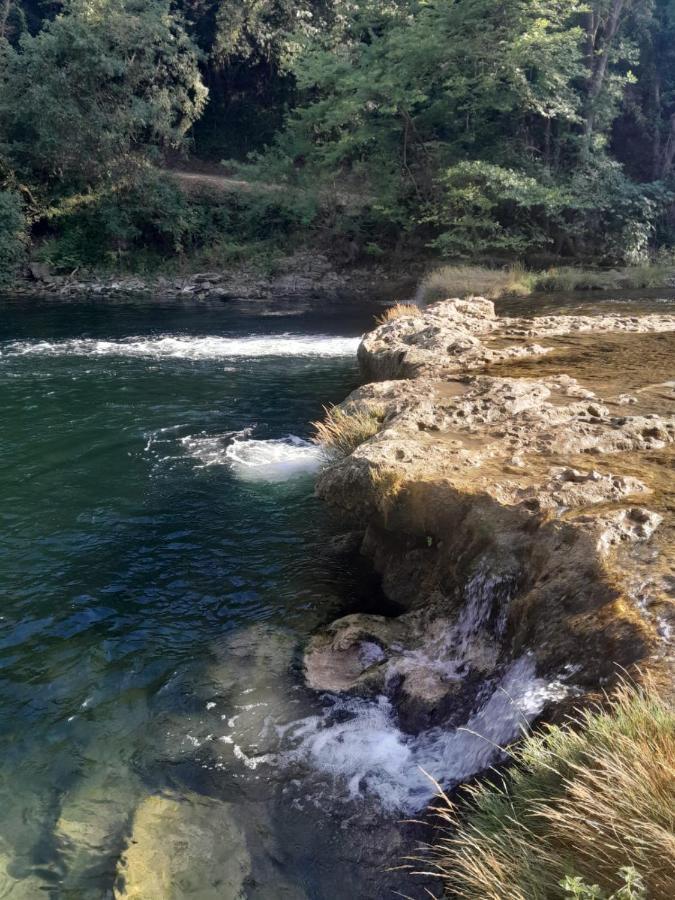 Bas De Villa Au Chant Des Cigales Lorgues Bagian luar foto